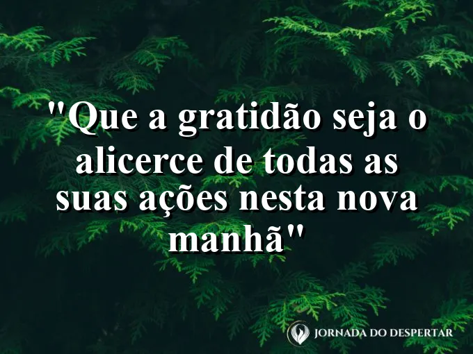 Mãos dadas em um gesto de apoio sob a luz suave de um amanhecer radiante.