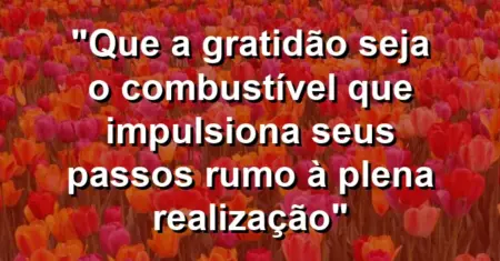 “Que a gratidão seja o combustível que impulsiona seus passos rumo à plena realização”