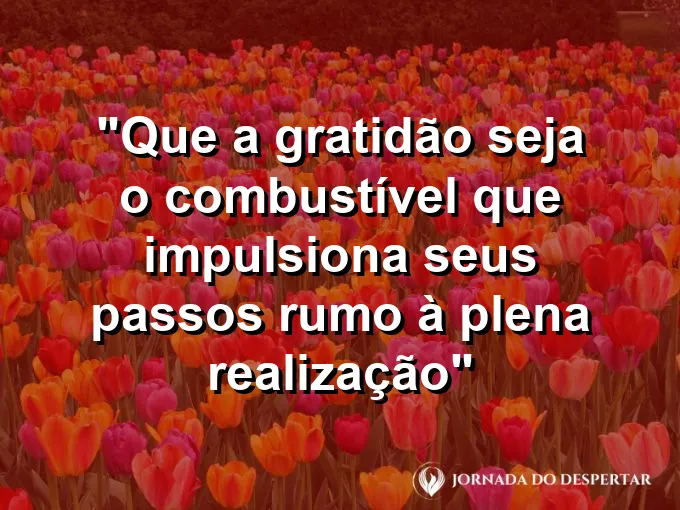 Pessoa de braços abertos no topo de uma colina sentindo a brisa suave da manhã.