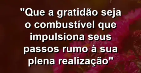 “Que a gratidão seja o combustível que impulsiona seus passos rumo à sua plena realização”