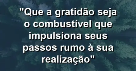 “Que a gratidão seja o combustível que impulsiona seus passos rumo à sua realização”