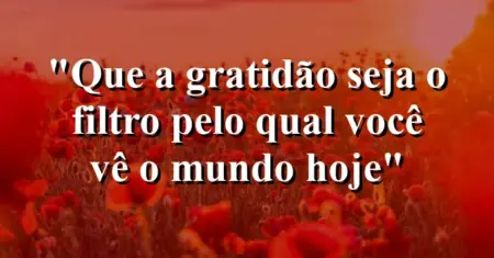 “Que a gratidão seja o filtro pelo qual você vê o mundo hoje”