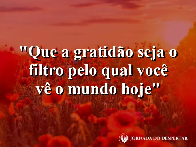 bom-dia-gratidao-filtro-ver-mundo-hoje