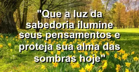 “Que a luz da sabedoria ilumine seus pensamentos e proteja sua alma das sombras hoje”