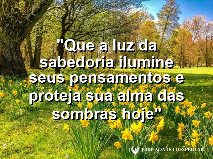 Estátua de coruja sobre uma pilha de livros em uma biblioteca banhada pelo sol de hoje.