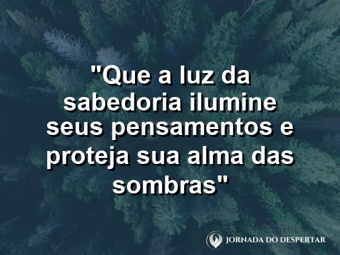 Estátua de coruja sobre uma pilha de livros em uma biblioteca banhada pelo sol radiante.