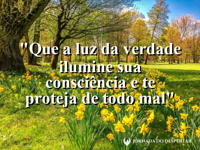 Prisma de vidro refletindo a luz solar pura em um ambiente limpo e muito iluminado nesta manhã.