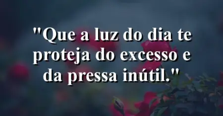 “Que a luz do dia te proteja do excesso e da pressa inútil.”