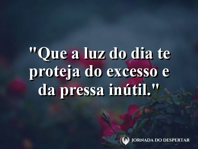 Mensagens de Bom Dia para Começar Sua Jornada com Muita Luz: Que a luz do dia te proteja do excesso e da pressa inútil.
