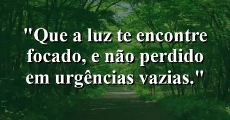 “Que a luz te encontre focado, e não perdido em urgências vazias.”