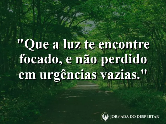Imagem com a frase: Que a luz te encontre focado, e não perdido em urgências vazias.