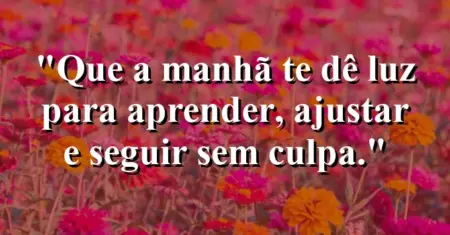 “Que a manhã te dê luz para aprender, ajustar e seguir sem culpa.”