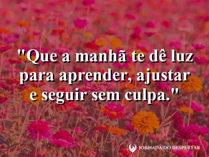 Imagem com a frase: Que a manhã te dê luz para aprender, ajustar e seguir sem culpa.