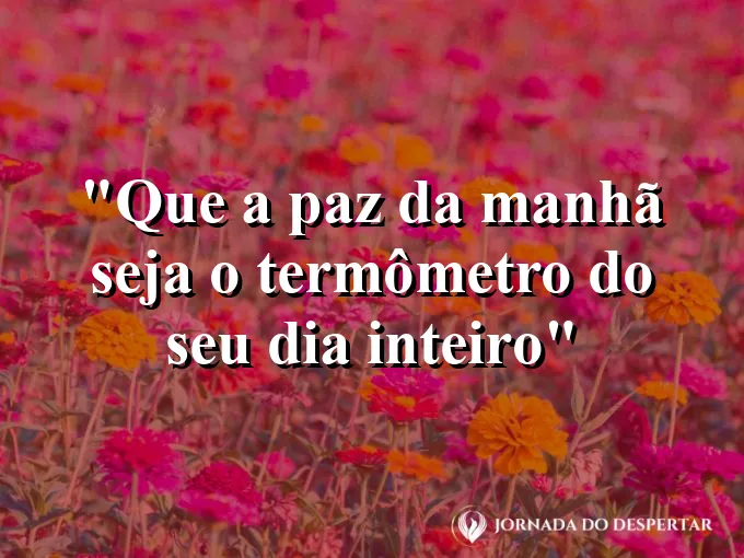 bom-dia-paz-manha-termometro-dia-inteiro