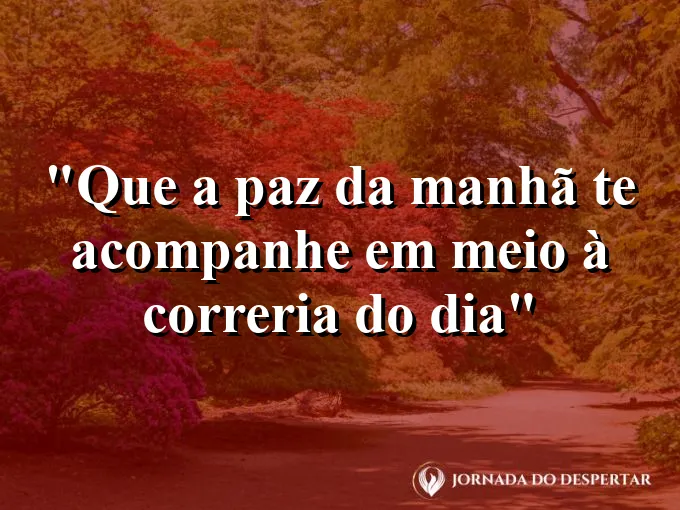 bom-dia-paz-manha-acompanhe-correria-dia