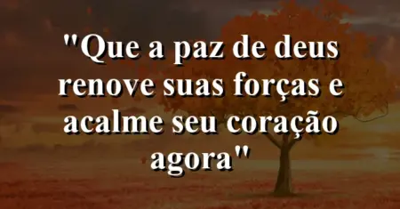 “Que a paz de Deus renove suas forças e acalme seu coração agora”