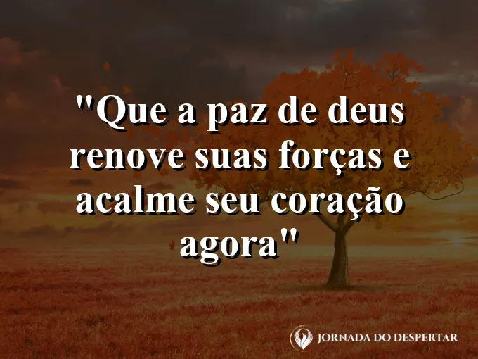 bom-dia-paz-deus-renovar-forcas-acalmar-coracao
