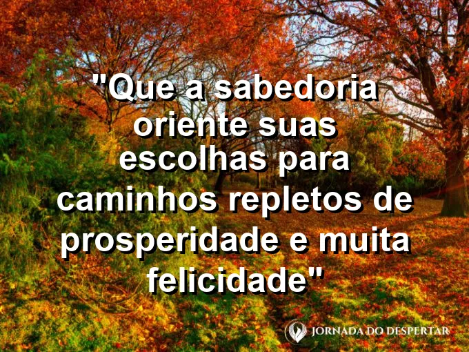 Estátua de coruja sobre uma pilha de livros em uma biblioteca banhada pela luz solar.