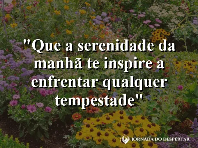 bom-dia-serenidade-manha-inspire-enfrentar-tempestade