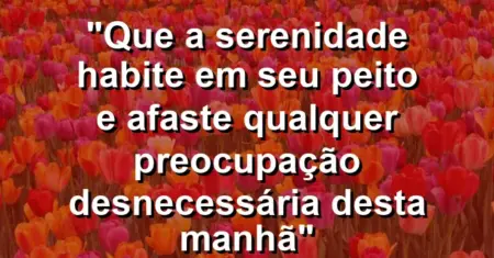 “Que a serenidade habite em seu peito e afaste qualquer preocupação desnecessária desta manhã”