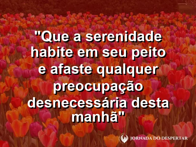 Pedras equilibradas na margem de um rio com águas cristalinas sob o sol suave da manhã.