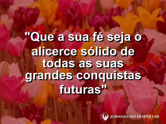 Mãos postas em oração com a luz do sol batendo suavemente sobre elas em paz total.