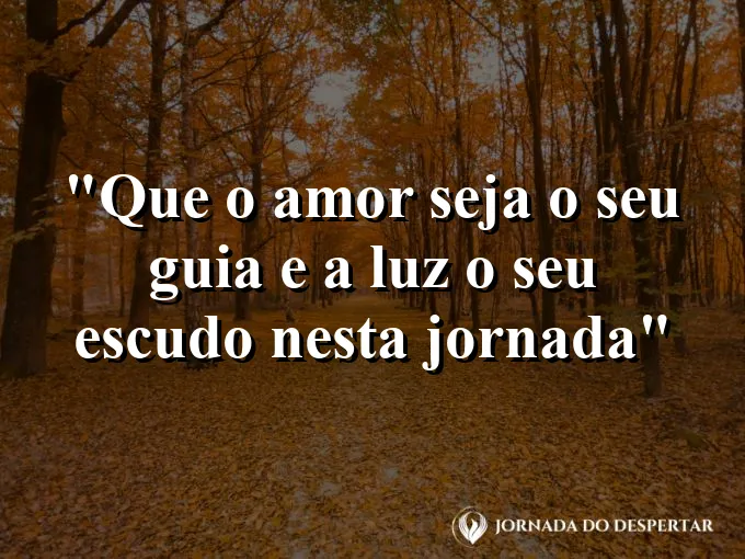 bom-dia-amor-guia-luz-escudo-jornada