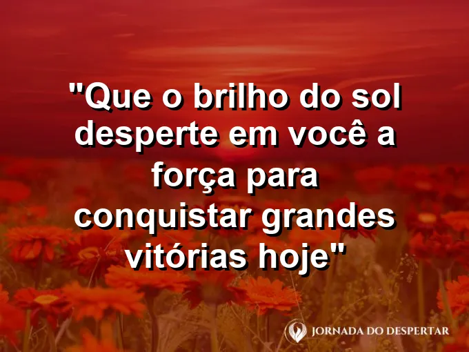 Imagem de raios de sol atravessando a neblina matinal em uma floresta verde e muito densa.