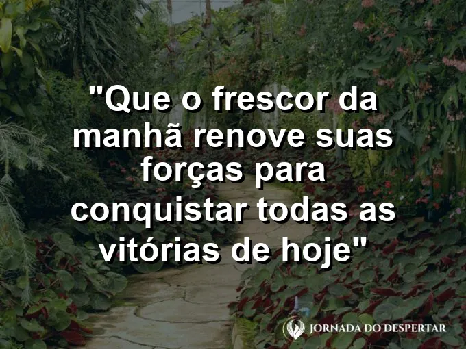 Imagem de orvalho brilhando sobre pétalas de rosas em um jardim iluminado pelo sol matinal.