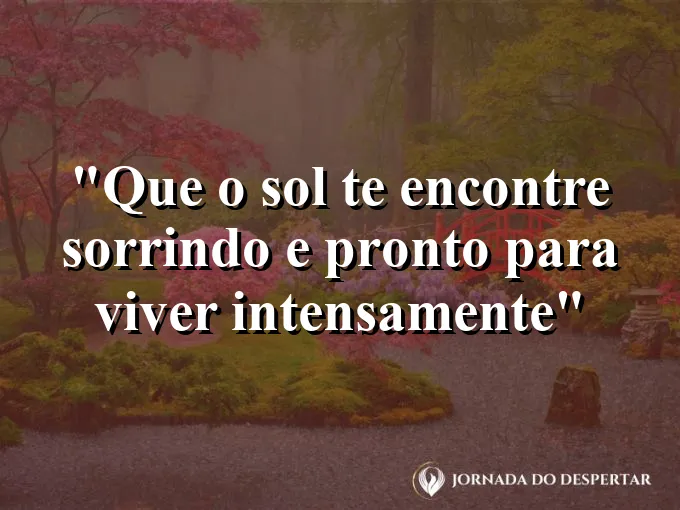 bom-dia-sol-encontre-sorrindo-pronto-viver-intensamente