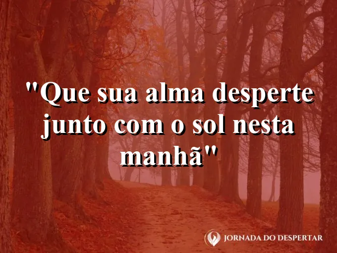 bom-dia-alma-desperte-junto-sol-manha