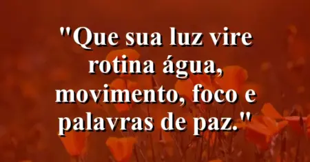 “Que sua luz vire rotina: água, movimento, foco e palavras de paz.”