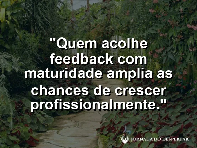 Imagem com frase sobre maturidade para receber feedback.
