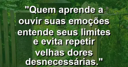 Quem aprende a ouvir suas emoções entende seus limites e evita repetir velhas dores desnecessárias.