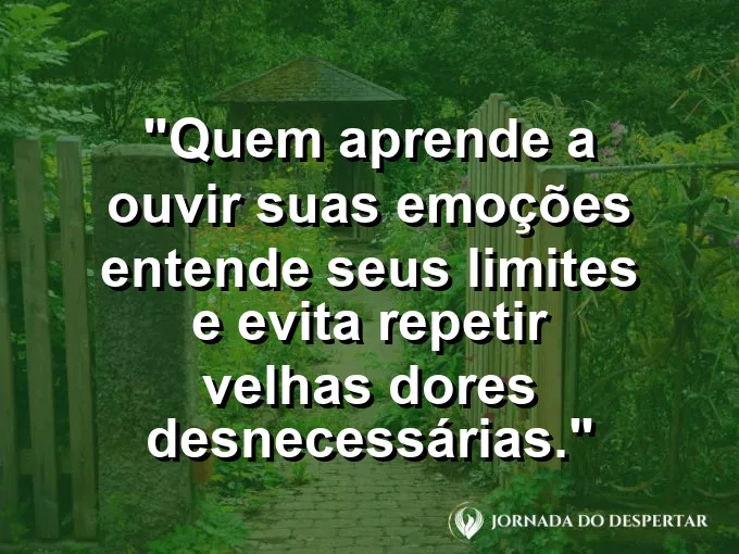 Frase sobre autoconhecimento e autoestima: Quem aprende a ouvir suas emoções entende seus limites e evita repetir velhas dores desnecessárias.