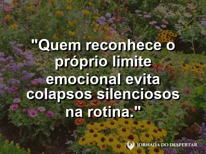 Imagem com frase sobre evitar desgaste emocional profissional.