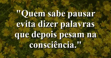 “Quem sabe pausar evita dizer palavras que depois pesam na consciência.”