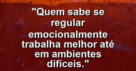 “Quem sabe se regular emocionalmente trabalha melhor até em ambientes difíceis.”