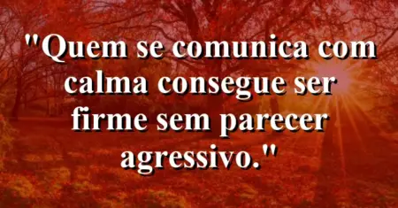 “Quem se comunica com calma consegue ser firme sem parecer agressivo.”