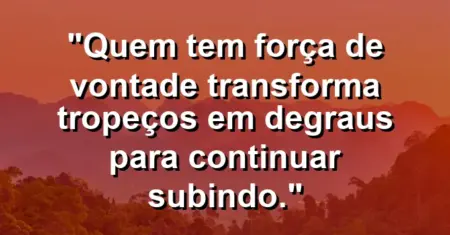 “Quem tem força de vontade transforma tropeços em degraus para continuar subindo.”