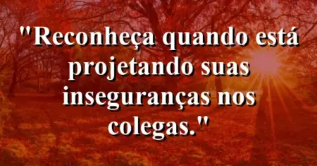 “Reconheça quando está projetando suas inseguranças nos colegas.”