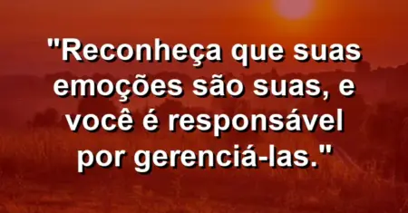“Reconheça que suas emoções são suas, e você é responsável por gerenciá-las.”