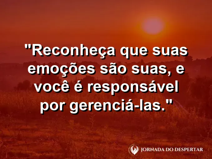Frase sobre responsabilidade: Reconheça que suas emoções são suas, e você é responsável por gerenciá-las.