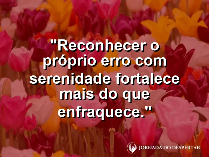 Imagem com frase sobre assumir erros com serenidade profissional.