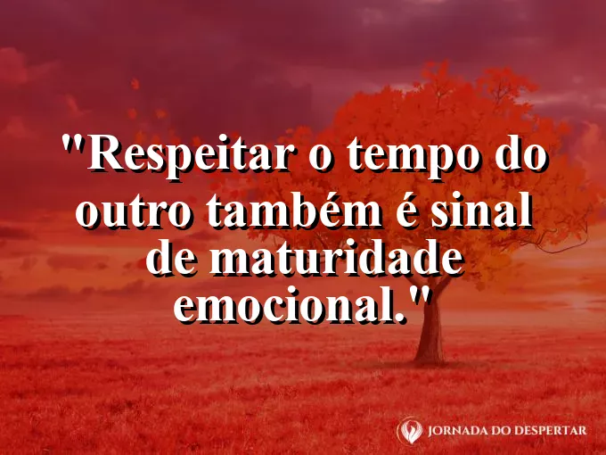 Imagem com frase sobre maturidade emocional e paciência profissional.