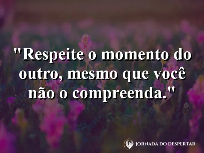 Frase sobre respeito: Respeite o momento do outro, mesmo que você não o compreenda.