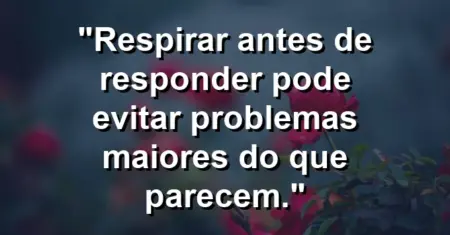 “Respirar antes de responder pode evitar problemas maiores do que parecem.”
