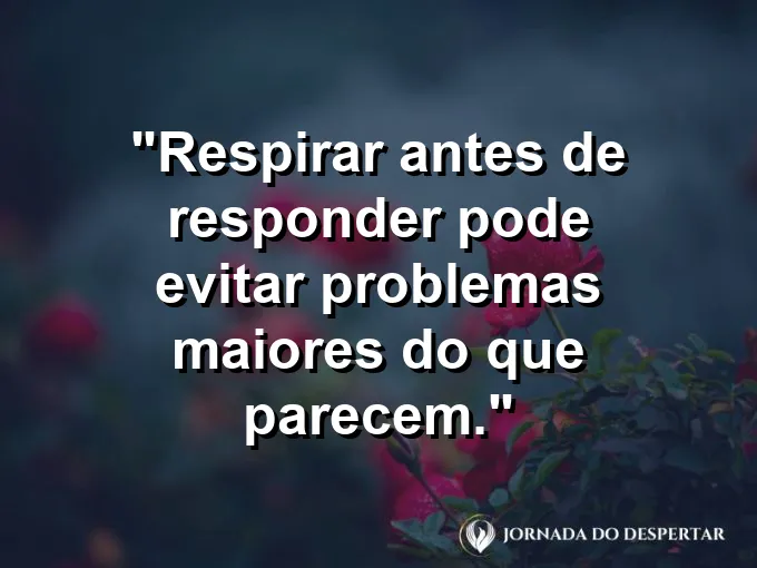 Imagem com frase sobre pausa emocional em situações tensas.