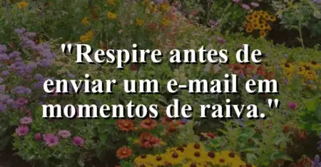 “Respire antes de enviar um e-mail em momentos de raiva.”