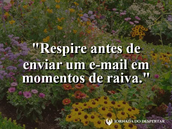 Frase sobre e-mail: Respire antes de enviar um e-mail em momentos de raiva.
